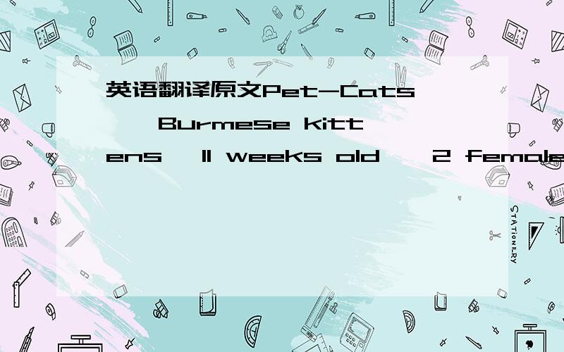 英语翻译原文Pet-Cats　　Burmese kittens ,11 weeks old　　2 female ,4 m