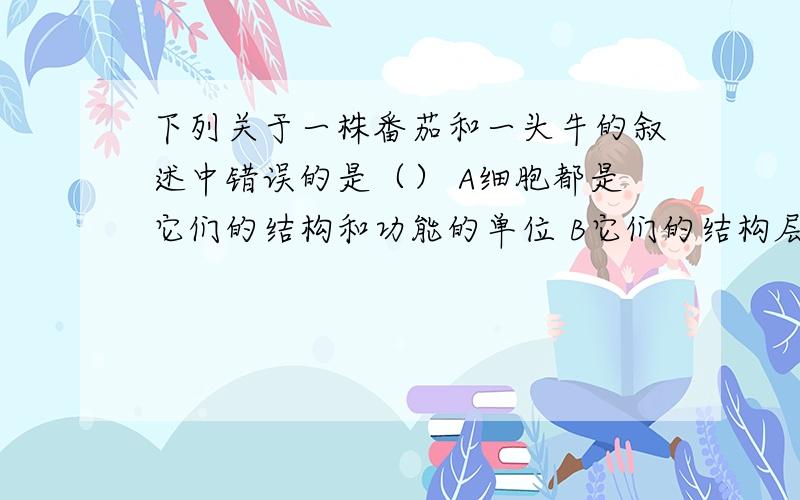 下列关于一株番茄和一头牛的叙述中错误的是（） A细胞都是它们的结构和功能的单位 B它们的结构层次都是细