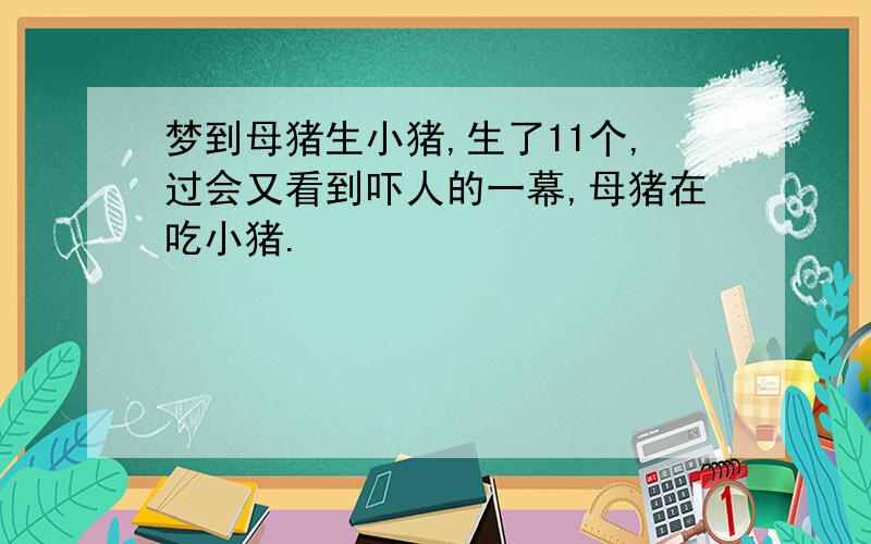 梦到母猪生小猪,生了11个,过会又看到吓人的一幕,母猪在吃小猪.