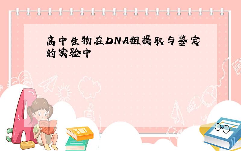 高中生物在DNA粗提取与鉴定的实验中