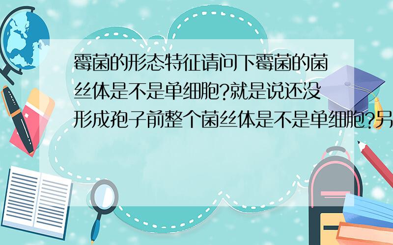 霉菌的形态特征请问下霉菌的菌丝体是不是单细胞?就是说还没形成孢子前整个菌丝体是不是单细胞?另外放线菌是不是也一样?