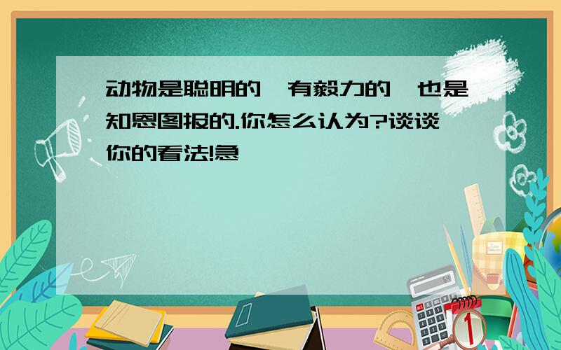 动物是聪明的,有毅力的,也是知恩图报的.你怎么认为?谈谈你的看法!急