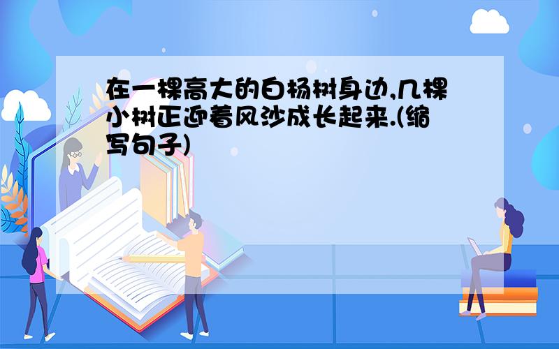 在一棵高大的白杨树身边,几棵小树正迎着风沙成长起来.(缩写句子)