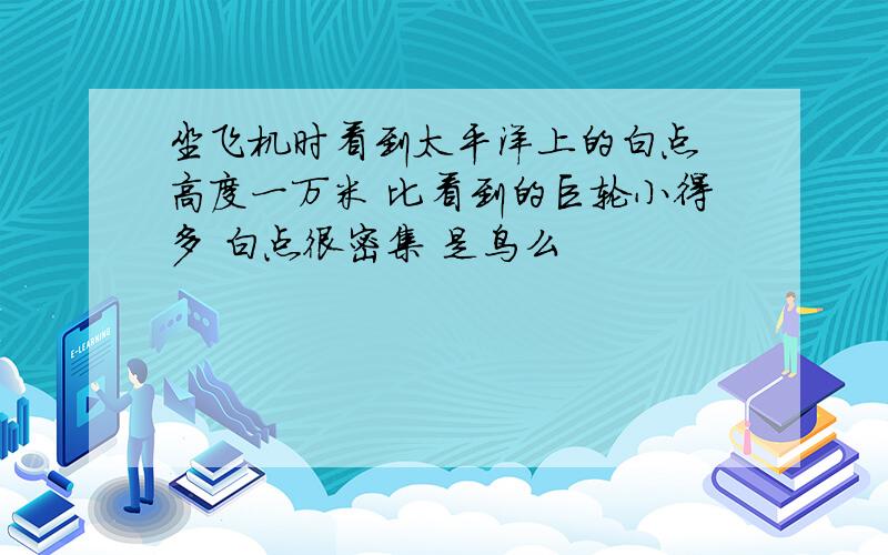 坐飞机时看到太平洋上的白点 高度一万米 比看到的巨轮小得多 白点很密集 是鸟么