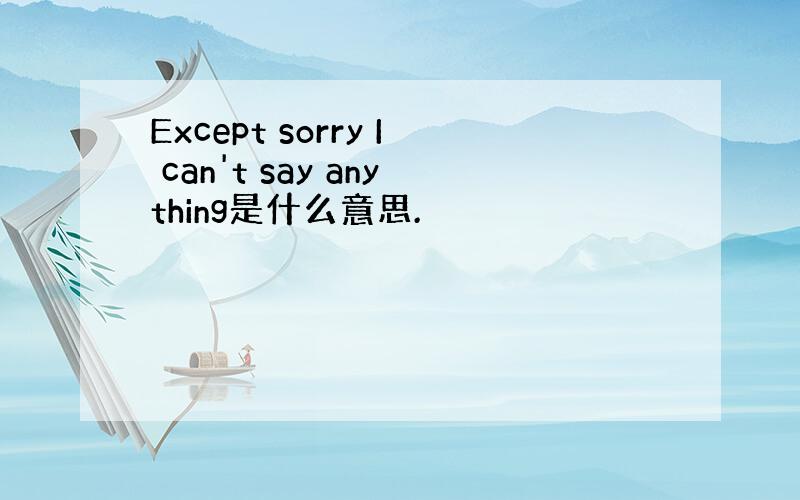 Except sorry I can't say anything是什么意思.