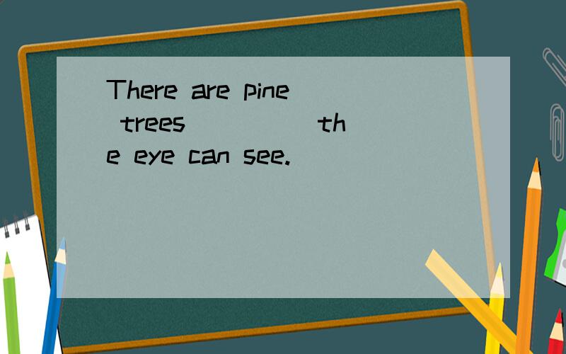 There are pine trees ____ the eye can see.