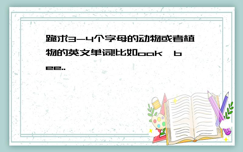 跪求3-4个字母的动物或者植物的英文单词!比如oak、bee..