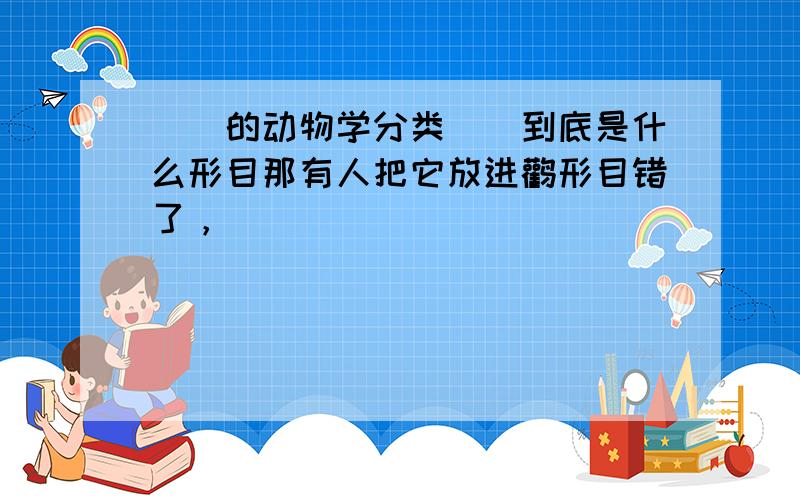 鸊鷉的动物学分类鸊鷉到底是什么形目那有人把它放进鹳形目错了，