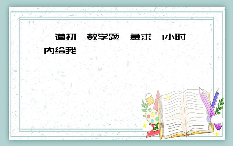 一道初一数学题,急求,1小时内给我,