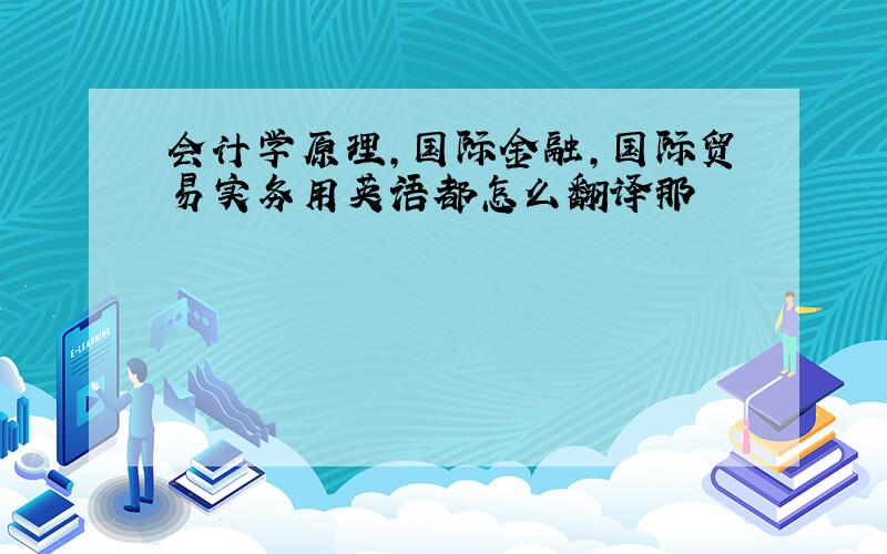 会计学原理,国际金融,国际贸易实务用英语都怎么翻译那