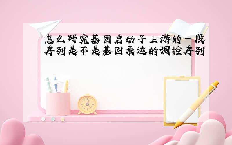 怎么研究基因启动子上游的一段序列是不是基因表达的调控序列