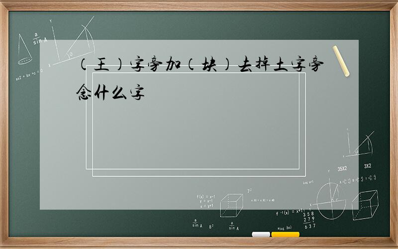 （王）字旁加（块）去掉土字旁念什么字