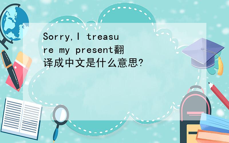 Sorry,I treasure my present翻译成中文是什么意思?