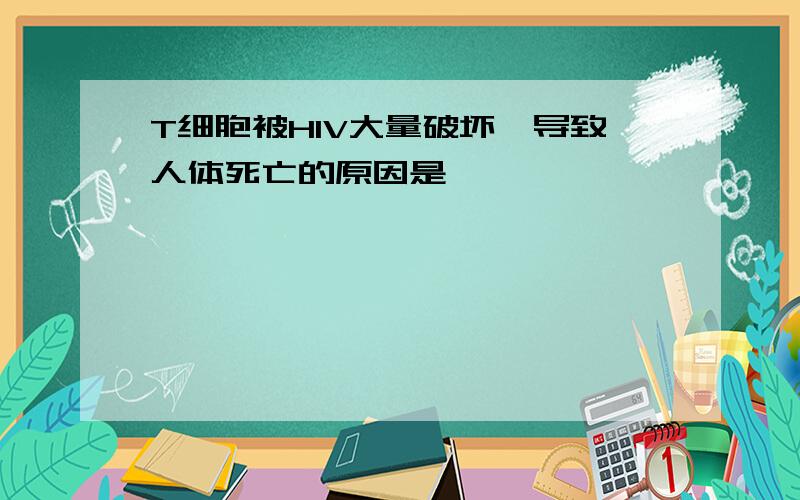 T细胞被HIV大量破坏,导致人体死亡的原因是