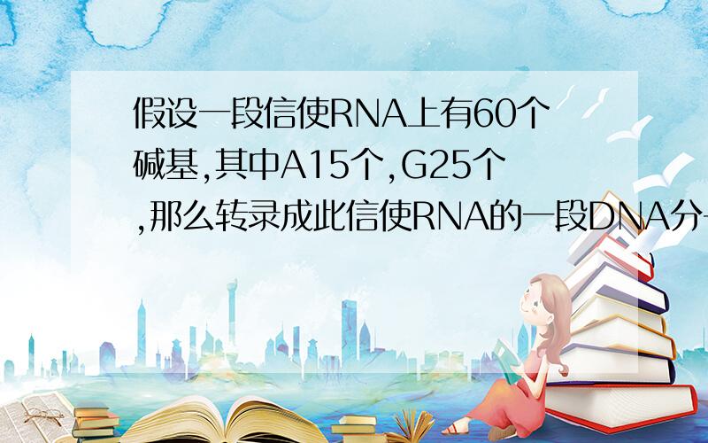 假设一段信使RNA上有60个碱基,其中A15个,G25个,那么转录成此信使RNA的一段DNA分子片段中的C和T的个数是