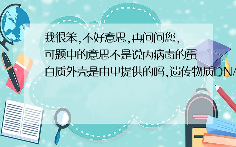 我很笨,不好意思,再问问您,可题中的意思不是说丙病毒的蛋白质外壳是由甲提供的吗,遗传物质DNA才是由乙病毒提供的,那蛋白