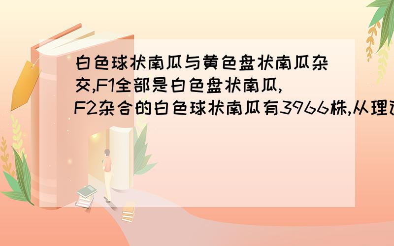 白色球状南瓜与黄色盘状南瓜杂交,F1全部是白色盘状南瓜,F2杂合的白色球状南瓜有3966株,从理论分析F2中杂合的白色盘