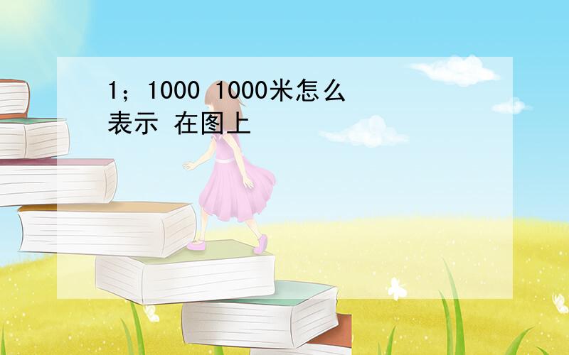 1；1000 1000米怎么表示 在图上