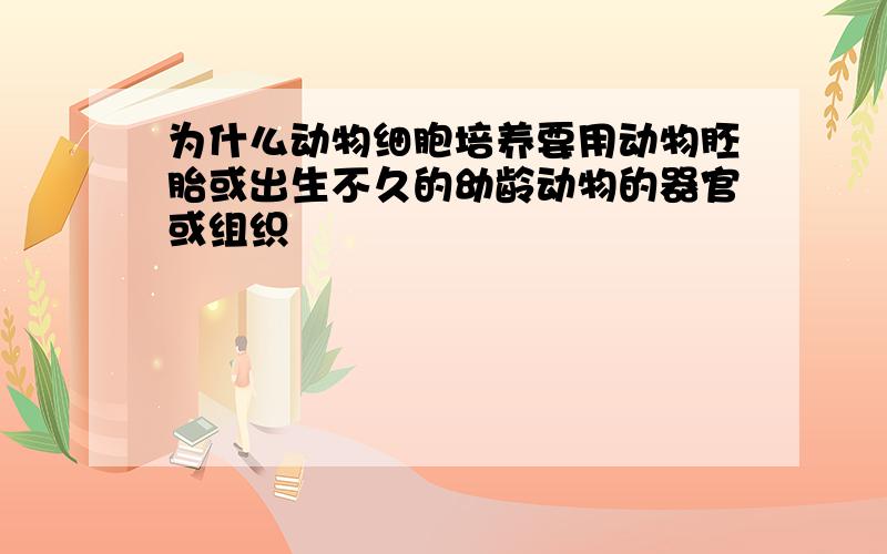 为什么动物细胞培养要用动物胚胎或出生不久的幼龄动物的器官或组织