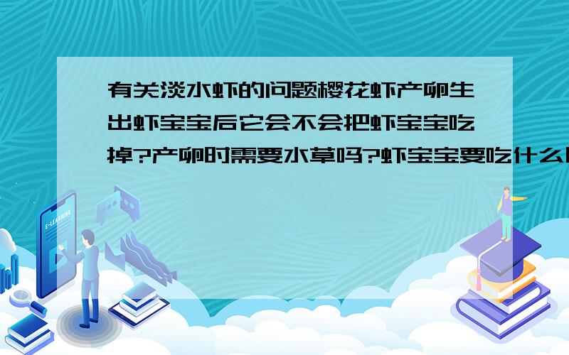 有关淡水虾的问题樱花虾产卵生出虾宝宝后它会不会把虾宝宝吃掉?产卵时需要水草吗?虾宝宝要吃什么呢?