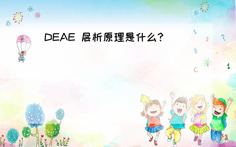 DEAE 层析原理是什么?