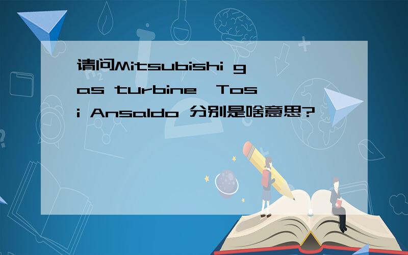 请问Mitsubishi gas turbine,Tosi Ansaldo 分别是啥意思?