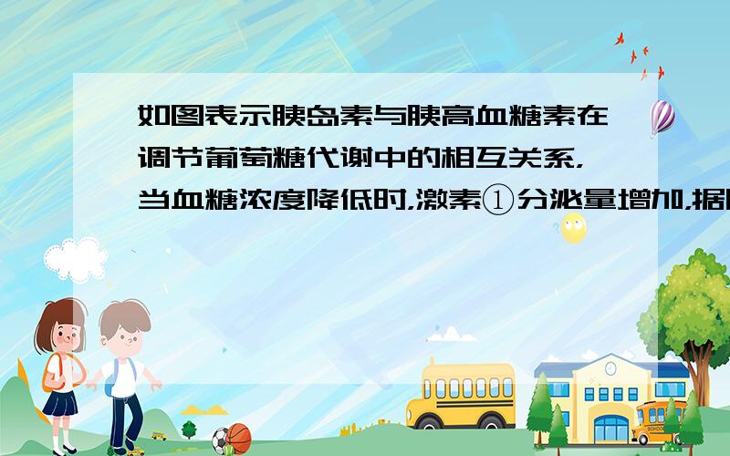 如图表示胰岛素与胰高血糖素在调节葡萄糖代谢中的相互关系，当血糖浓度降低时，激素①分泌量增加，据图分析下列叙述不正确的是（