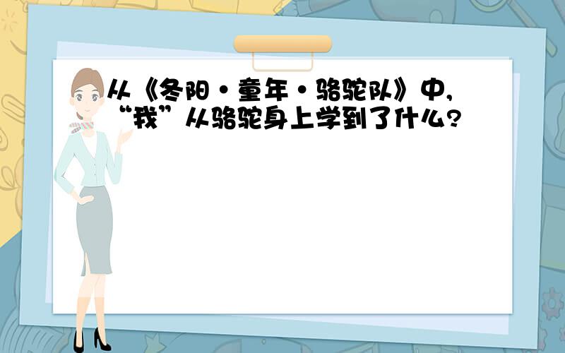 从《冬阳·童年·骆驼队》中,“我”从骆驼身上学到了什么?