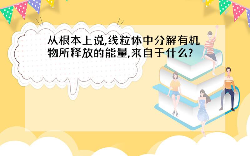 从根本上说,线粒体中分解有机物所释放的能量,来自于什么?