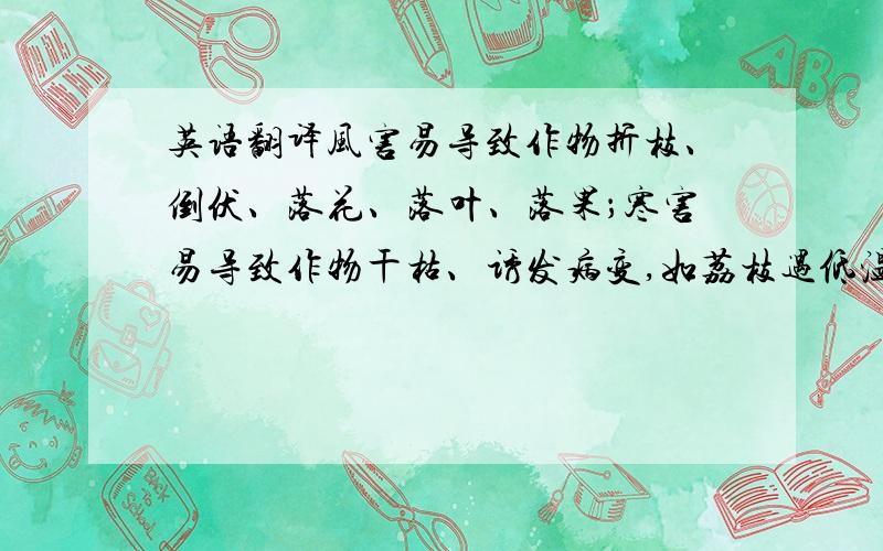 英语翻译风害易导致作物折枝、倒伏、落花、落叶、落果；寒害易导致作物干枯、诱发病变,如荔枝遇低温霜冻易导致炭疽病发生；旱害