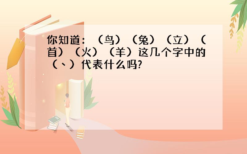 你知道：（鸟）（兔）（立）（首）（火）（羊）这几个字中的（丶）代表什么吗?