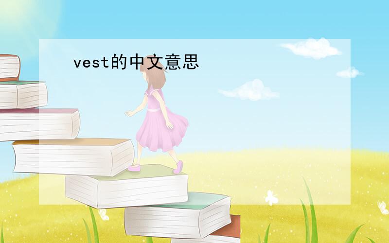 vest的中文意思