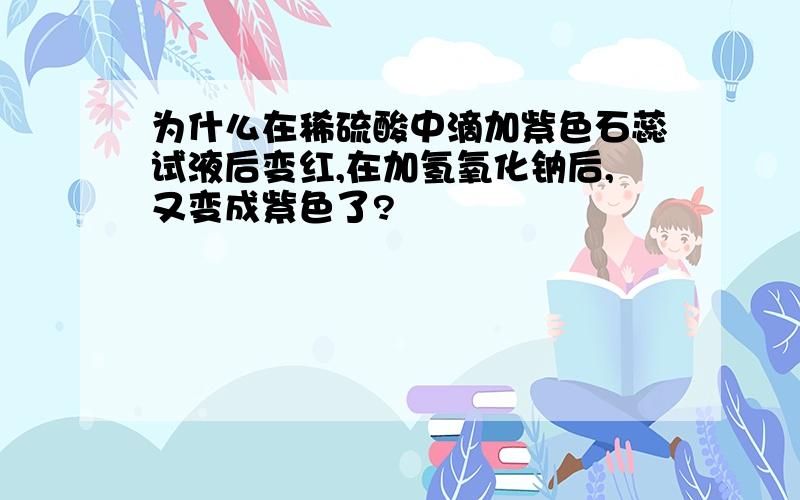 为什么在稀硫酸中滴加紫色石蕊试液后变红,在加氢氧化钠后,又变成紫色了?