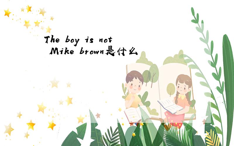 The boy is not Mike brown是什么