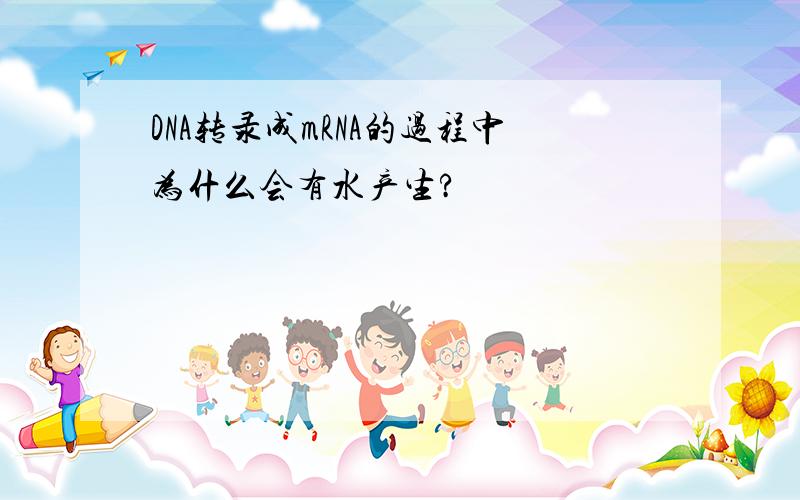 DNA转录成mRNA的过程中为什么会有水产生?