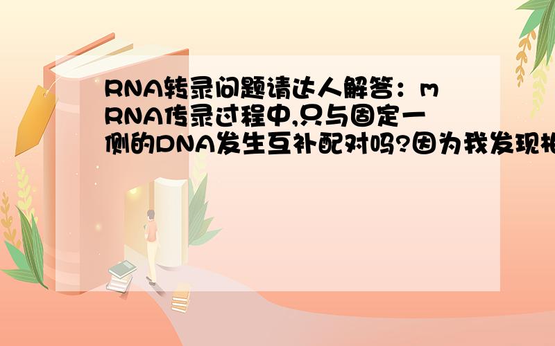 RNA转录问题请达人解答：mRNA传录过程中,只与固定一侧的DNA发生互补配对吗?因为我发现相互补的密码子形成的氨基酸大