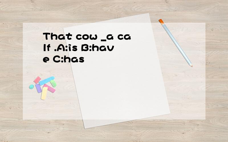 That cow _a calf .A:is B:have C:has