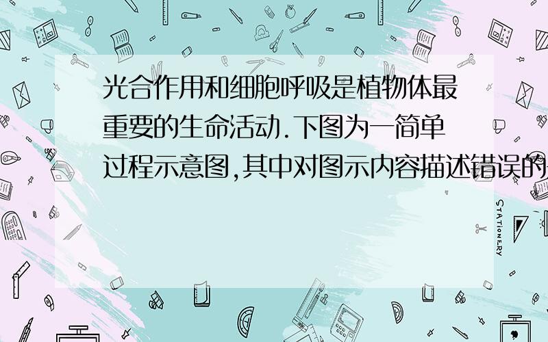 光合作用和细胞呼吸是植物体最重要的生命活动.下图为一简单过程示意图,其中对图示内容描述错误的是