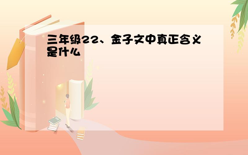 三年级22、金子文中真正含义是什么