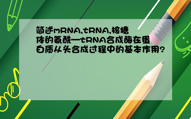 简述mRNA,tRNA,核糖体的氨酰—tRNA合成酶在蛋白质从头合成过程中的基本作用?