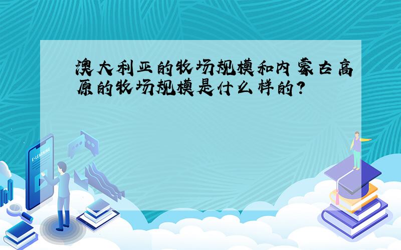 澳大利亚的牧场规模和内蒙古高原的牧场规模是什么样的?