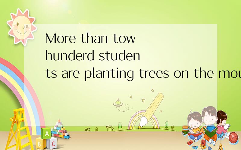 More than tow hunderd students are planting trees on the mou