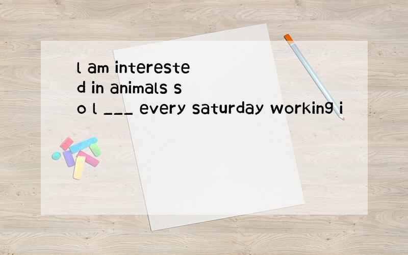 l am interested in animals so l ___ every saturday working i