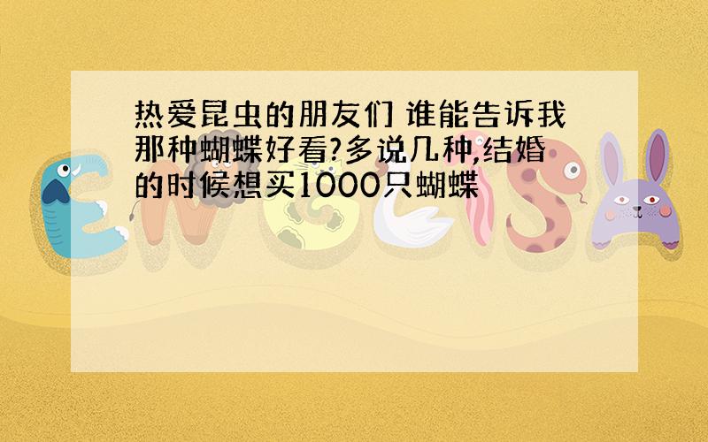 热爱昆虫的朋友们 谁能告诉我那种蝴蝶好看?多说几种,结婚的时候想买1000只蝴蝶