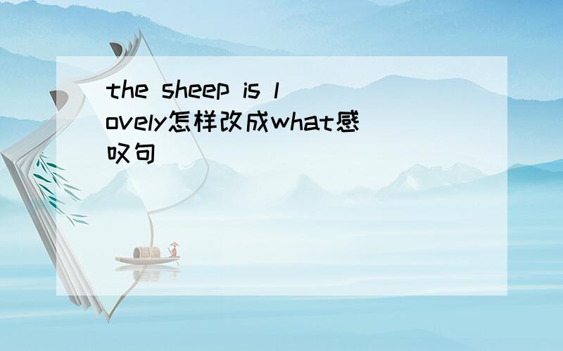 the sheep is lovely怎样改成what感叹句