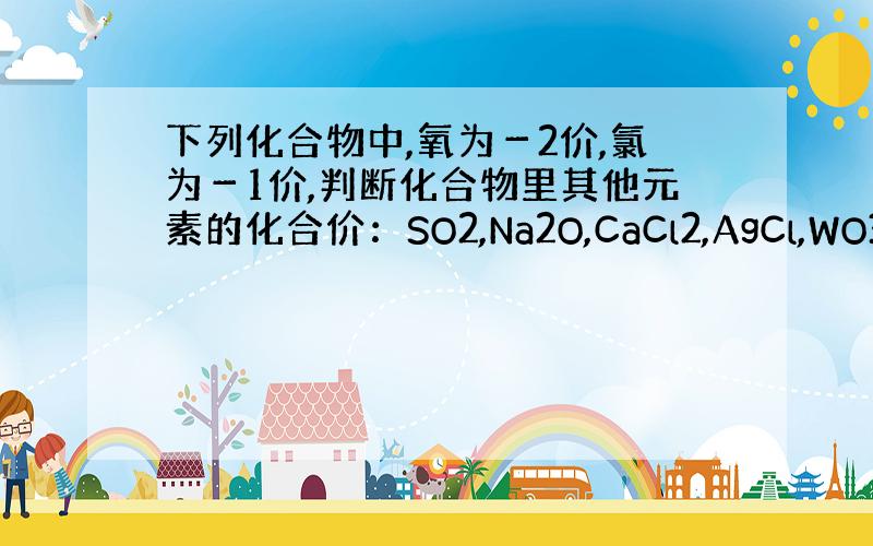 下列化合物中,氧为－2价,氯为－1价,判断化合物里其他元素的化合价：SO2,Na2O,CaCl2,AgCl,WO3（注意