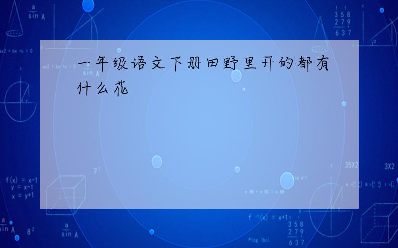 一年级语文下册田野里开的都有什么花