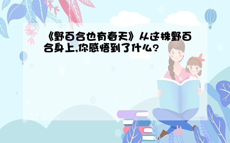 《野百合也有春天》从这株野百合身上,你感悟到了什么?