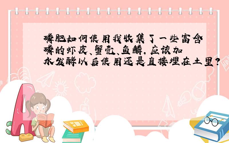 磷肥如何使用我收集了一些富含磷的虾皮、蟹壳、鱼鳞,应该加水发酵以后使用还是直接埋在土里?