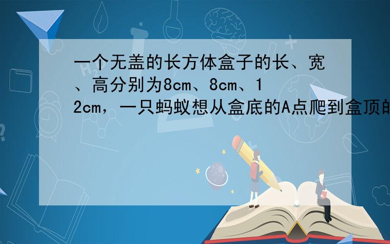 一个无盖的长方体盒子的长、宽、高分别为8cm、8cm、12cm，一只蚂蚁想从盒底的A点爬到盒顶的B点你能帮蚂蚁设定一条最